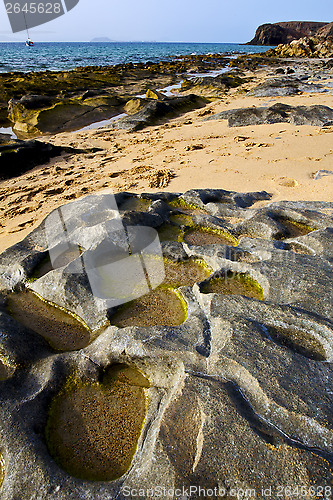Image of in lanzarote  spain coastline beach  