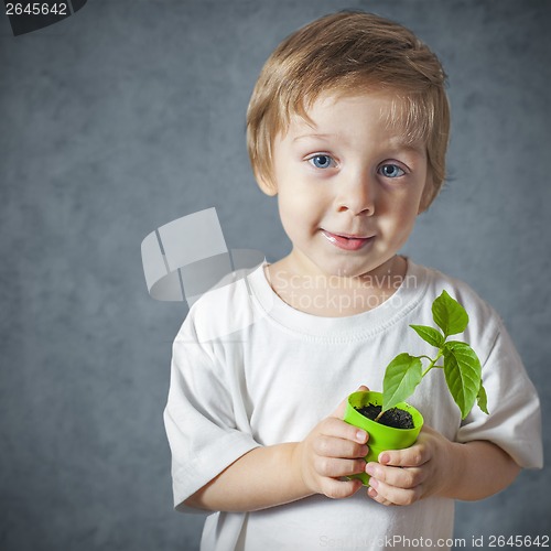 Image of Portrait of funny little boy with window plants