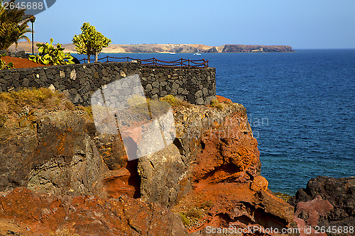 Image of street lamp bush  rock stone  lanzarote spain