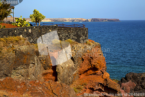 Image of street lamp bush  rock stone  lanzarote spain