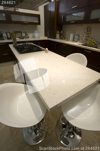 Image of Trendy Modern Kitchen