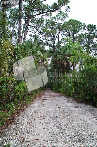 Image of old rural dirt road