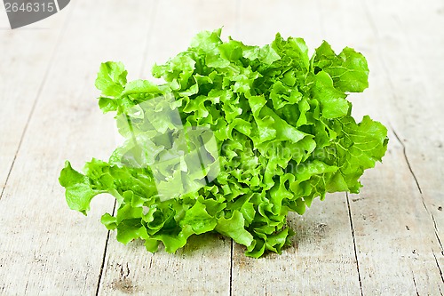 Image of fresh green salad 
