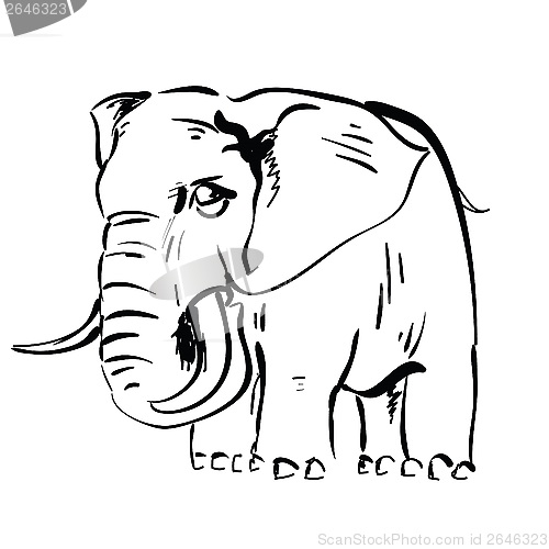 Image of elephant