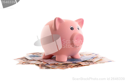 Image of Unique pink ceramic piggy bank