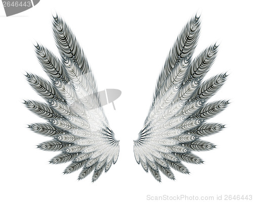 Image of wings