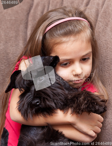 Image of Miniature schnauzer and little girl