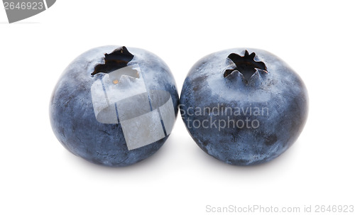 Image of Blueberry