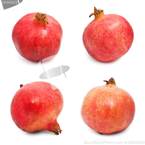Image of Pomegranates