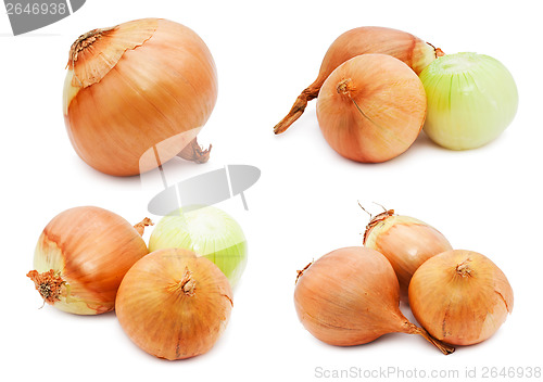 Image of Onion