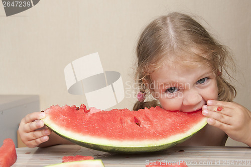 Image of Two-year-old girl eating watermelon with cheerful faces