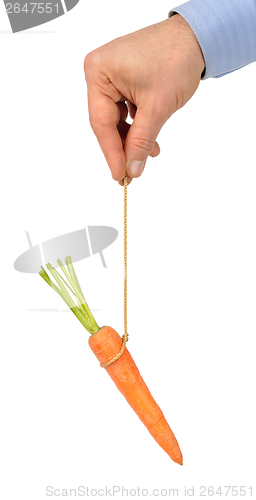Image of Carrot on String