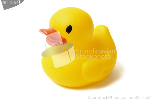 Image of Rubber Duck