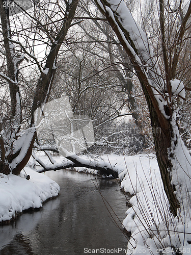 Image of River in winter