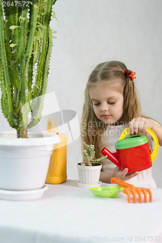 Image of Girl pours from a watering can cacti