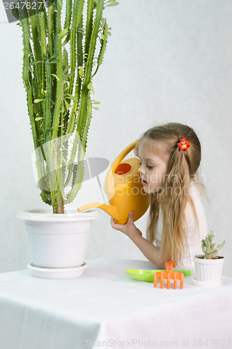 Image of Girl pours from a watering can cacti