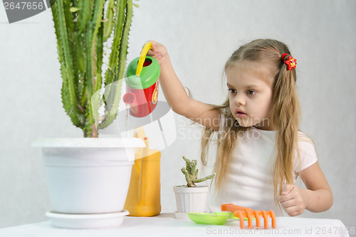 Image of Girl pours from a watering can cacti