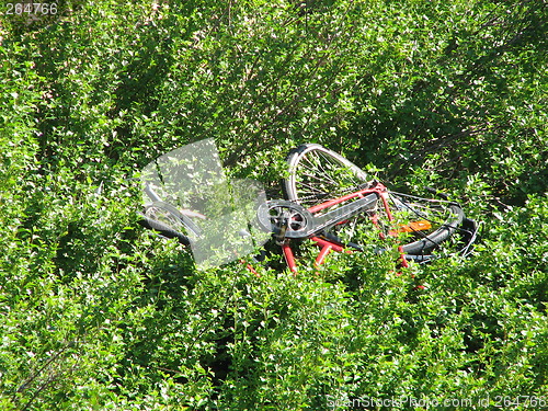 Image of Crashed bike