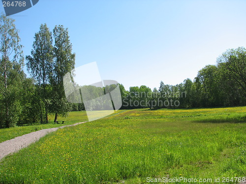 Image of Summer landscape