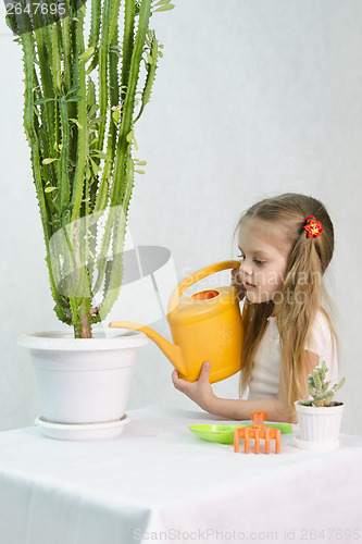 Image of Girl pours from a watering can cacti