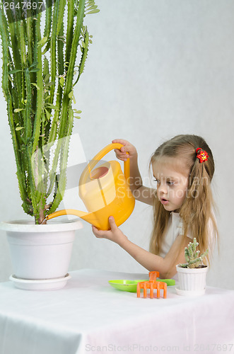 Image of Girl pours from a watering can cacti