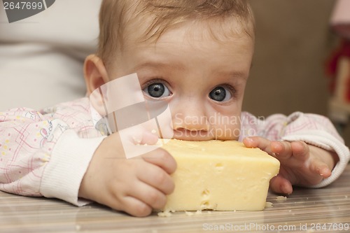 Image of Seven-month baby eats a big piece of cheese