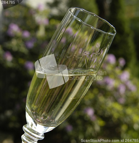 Image of A glass of whitewine