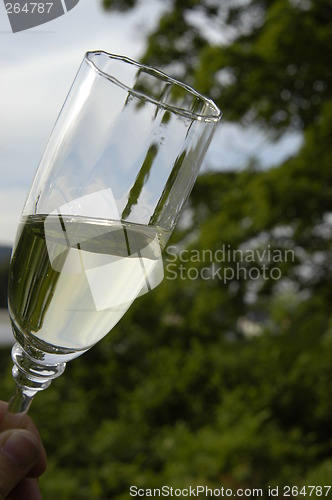 Image of Whitewine