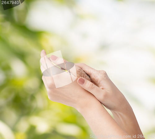 Image of female soft skin hands