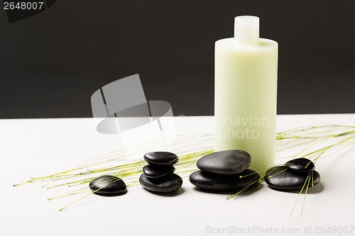 Image of shampoo bottle, massage stones and green plant