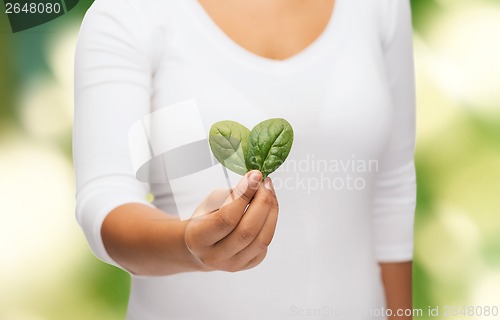 Image of closeup woman hand with green sprout