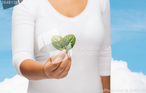 Image of closeup woman hand with green sprout