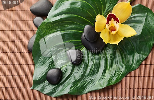 Image of massage stones with flowers on mat