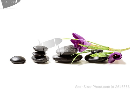 Image of massage stones with flowers on mat