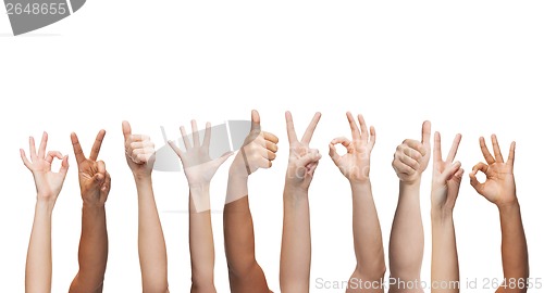 Image of human hands showing thumbs up, ok and peace signs