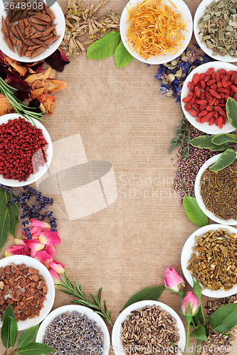 Image of Medicinal and Magical herbs