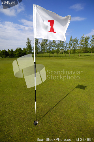 Image of Golf flag number one