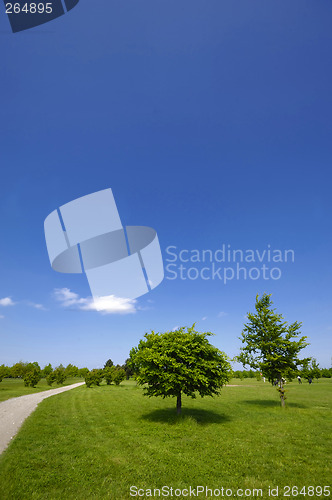Image of Park