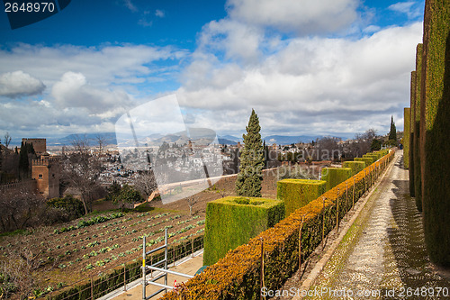 Image of Gardens in Granada in winter