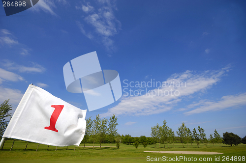 Image of Golf flag