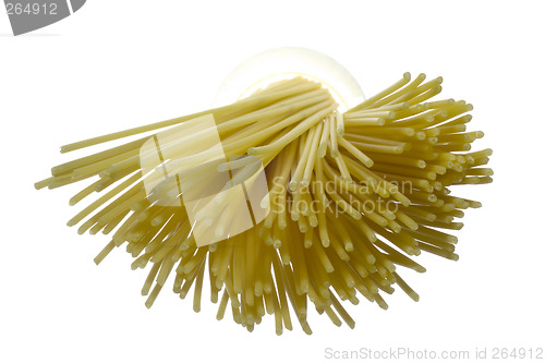 Image of Spaghetti closeup

