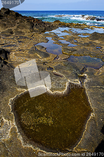 Image of in spain  lanzarote    water  musk pond  coastline and summer 