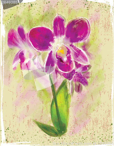 Image of bouquet of orchids
