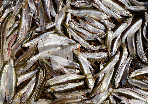 Image of Fresh small fish background at a market 