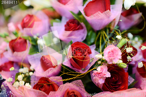 Image of Red rose flowers