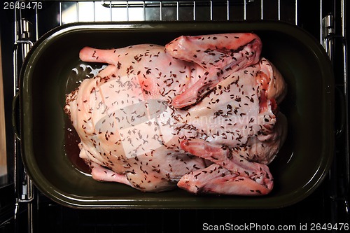 Image of raw duck