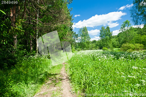 Image of Summer landscape