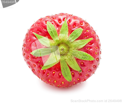 Image of Strawberry