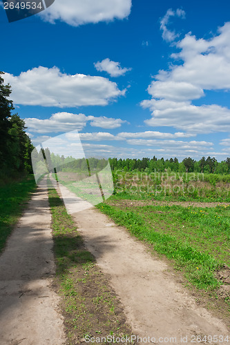 Image of Summer landscape