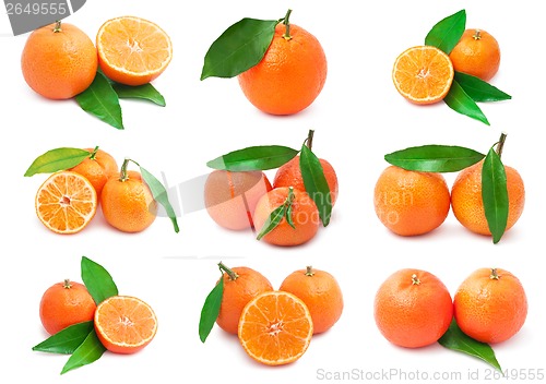 Image of Mandarins